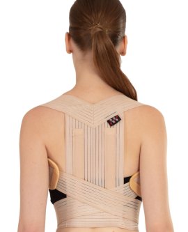 DİK DURUŞ KORSESİ